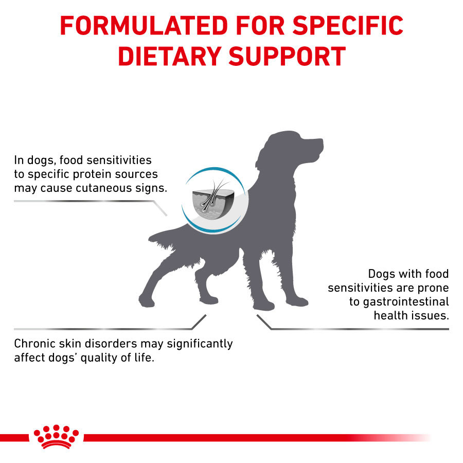 Shops royal canin anallergenic pets at home