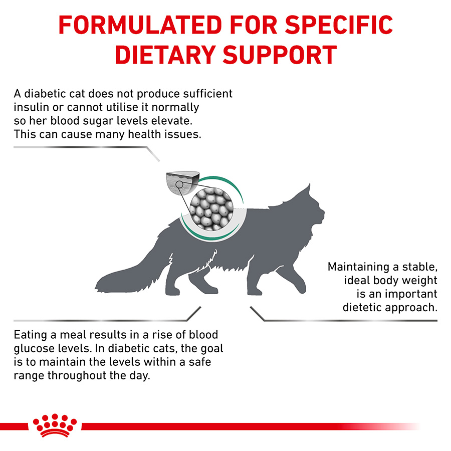 Royal Canin Veterinary Diabetic Adult Dry Cat Food Pets