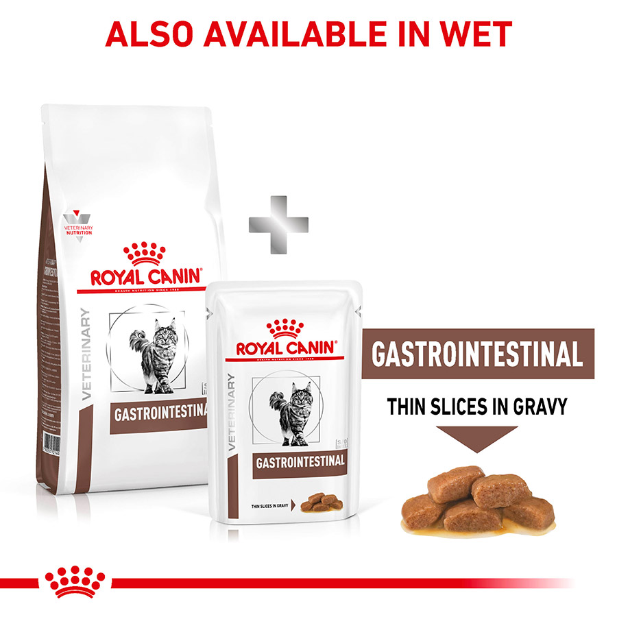 Royal Canin Veterinary Gastrointestinal Adult Dry Cat Food Pets