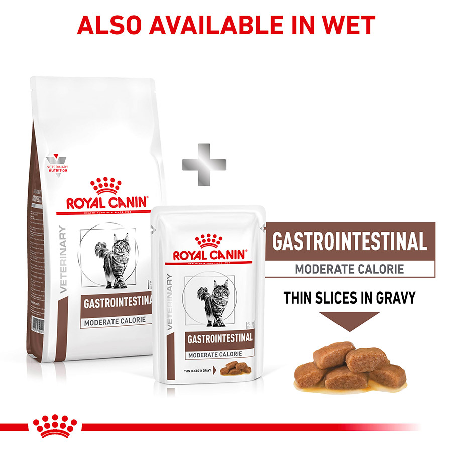 Alternative to fashion royal canin gastrointestinal cat food