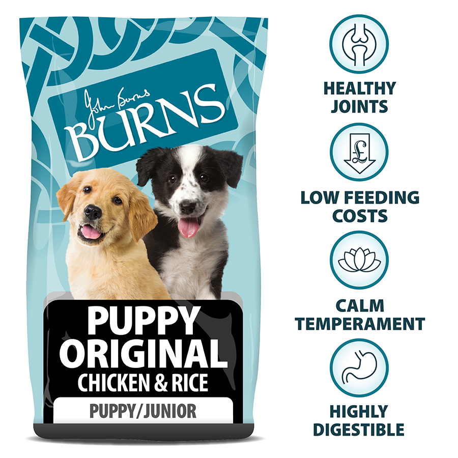 Burns Original Puppy Dry Dog Food Chicken Rice Pets