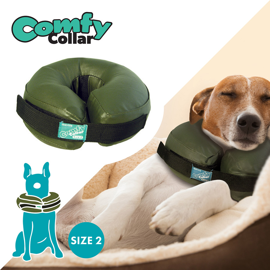 Protective inflatable pet collar best sale