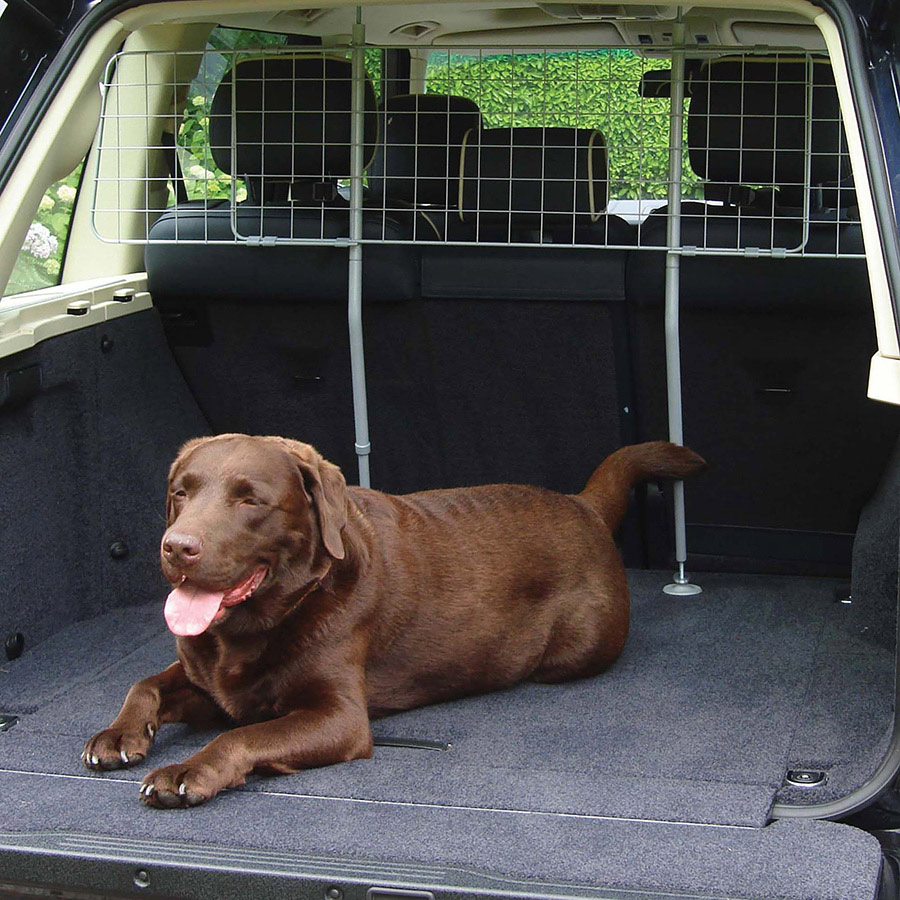 Dog guard boot best sale