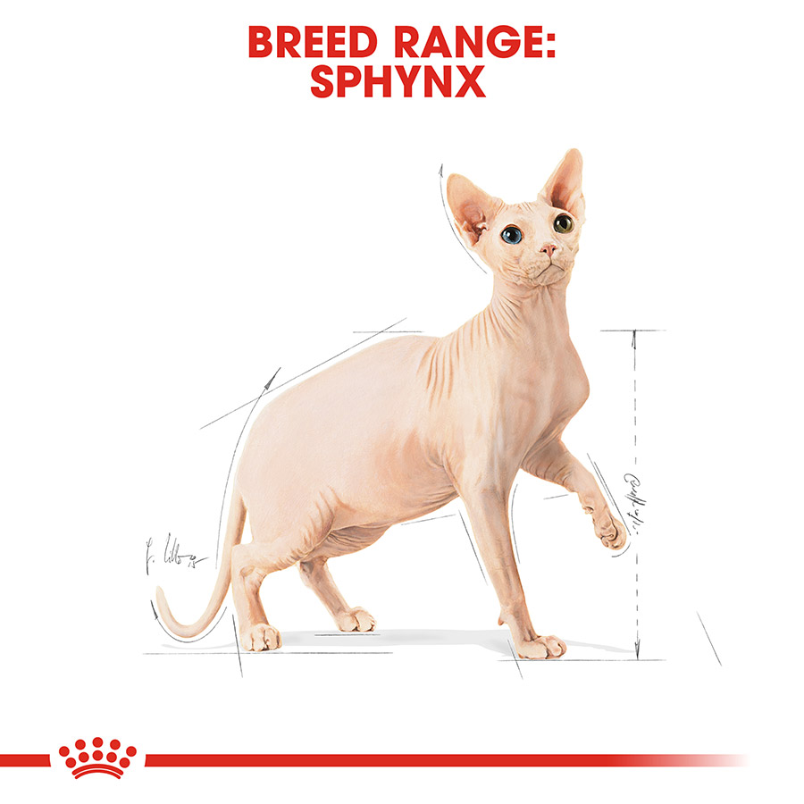 Royal Canin Sphynx Adult Dry Cat Food Pets