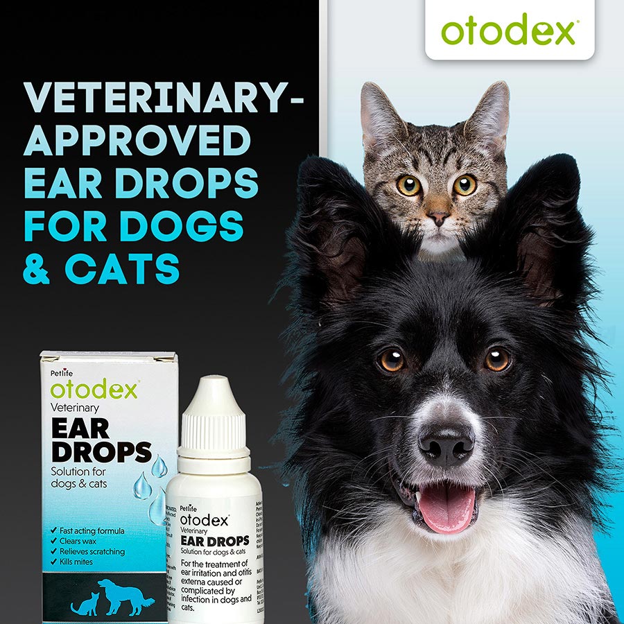 Dog ear drops asda hotsell