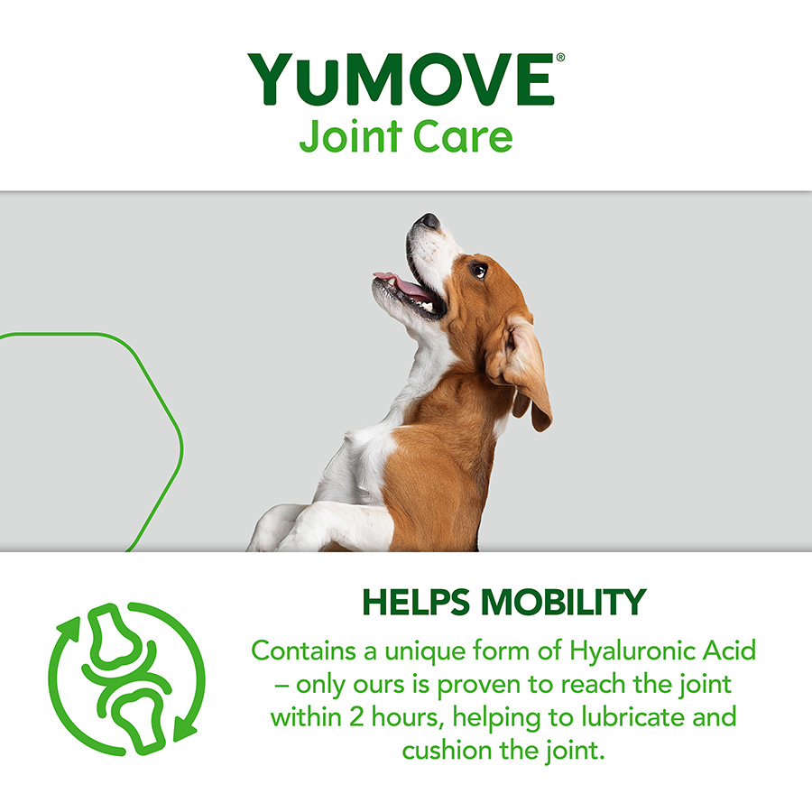 YuMOVE Joint Care For Adult Dogs Pets