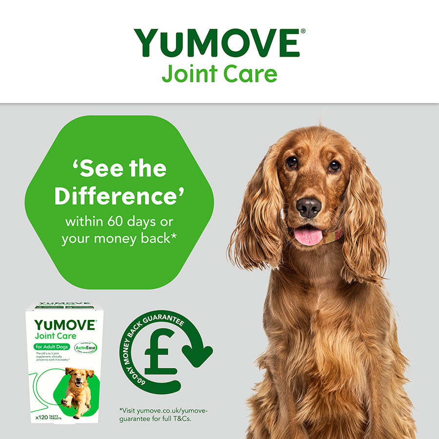 Yumove dog 120 orders