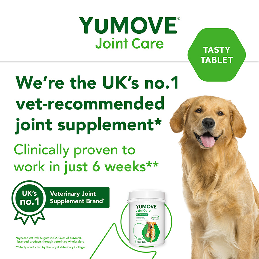 Lintbells yumove dog 300 tablets best sale