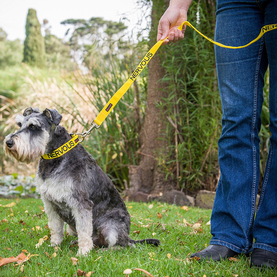 Friendly Dog Collars Nervous Embroidered Dog Lead Yellow Pets