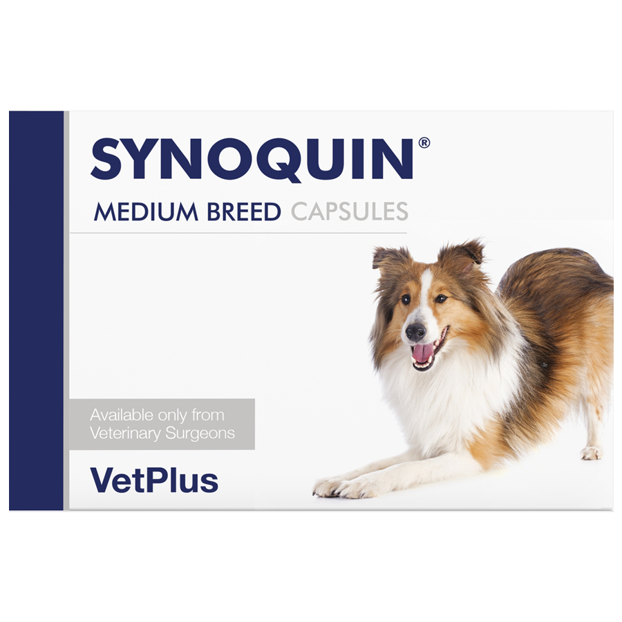 Synoquin VetPlus Joint Health Support Capsules Medium Dogs 10-25kg