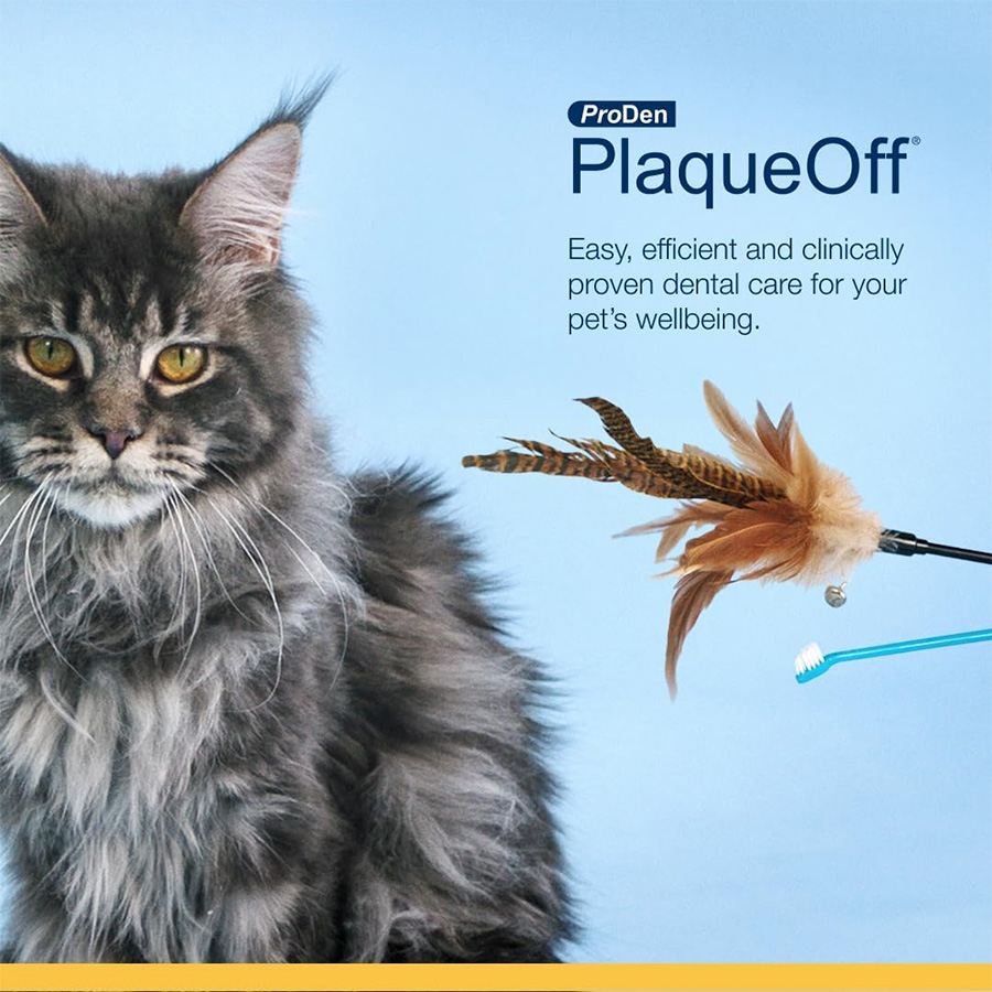 ProDen Plaqueoff Powder For Cats