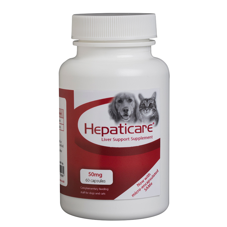 Best liver supplements for dogs hotsell