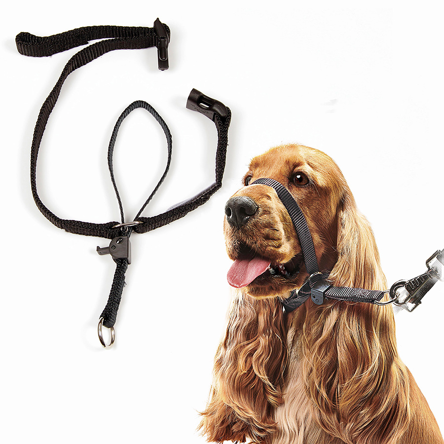 Leader collar for dogs best sale