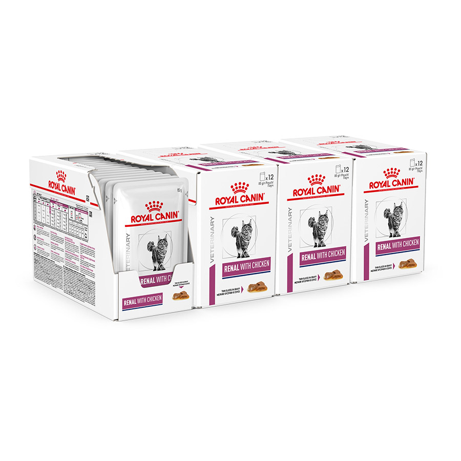 Cheapest royal canin renal cat food pouches hotsell