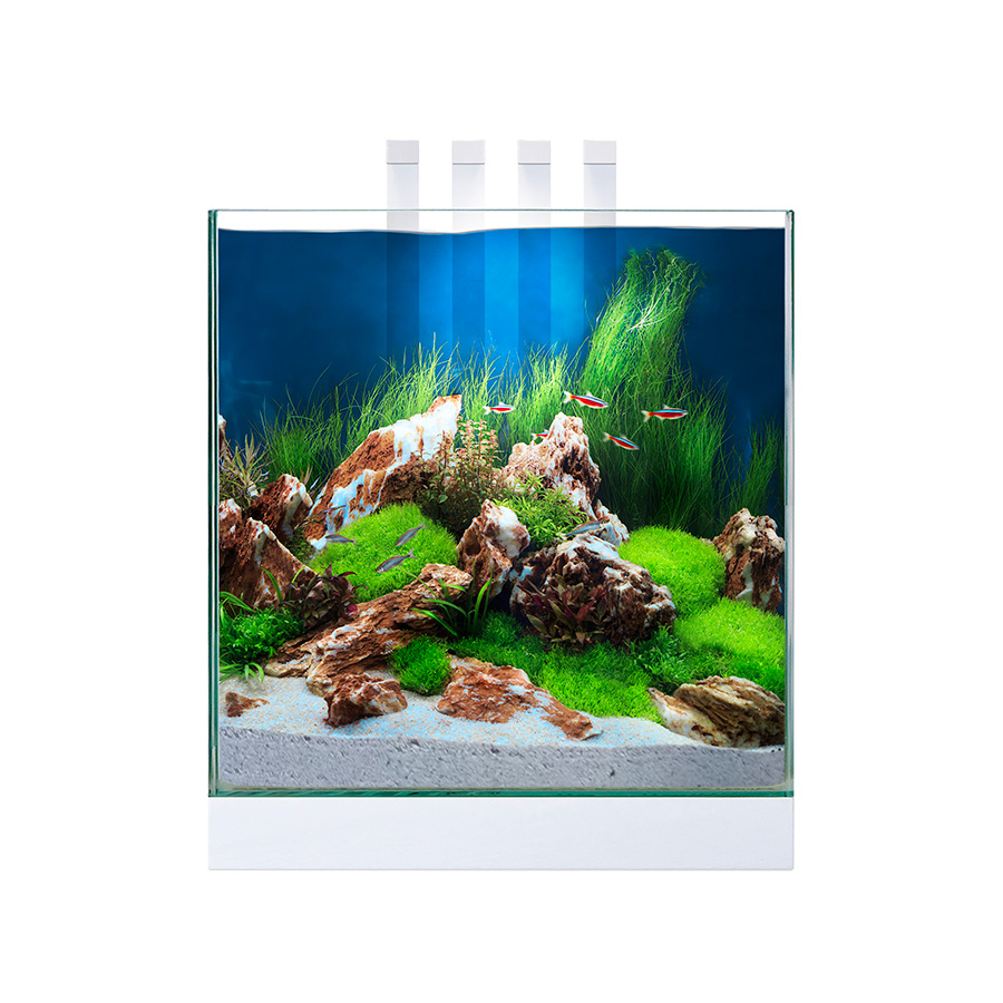 Ciano Nexus 25 Led Aquarium White 