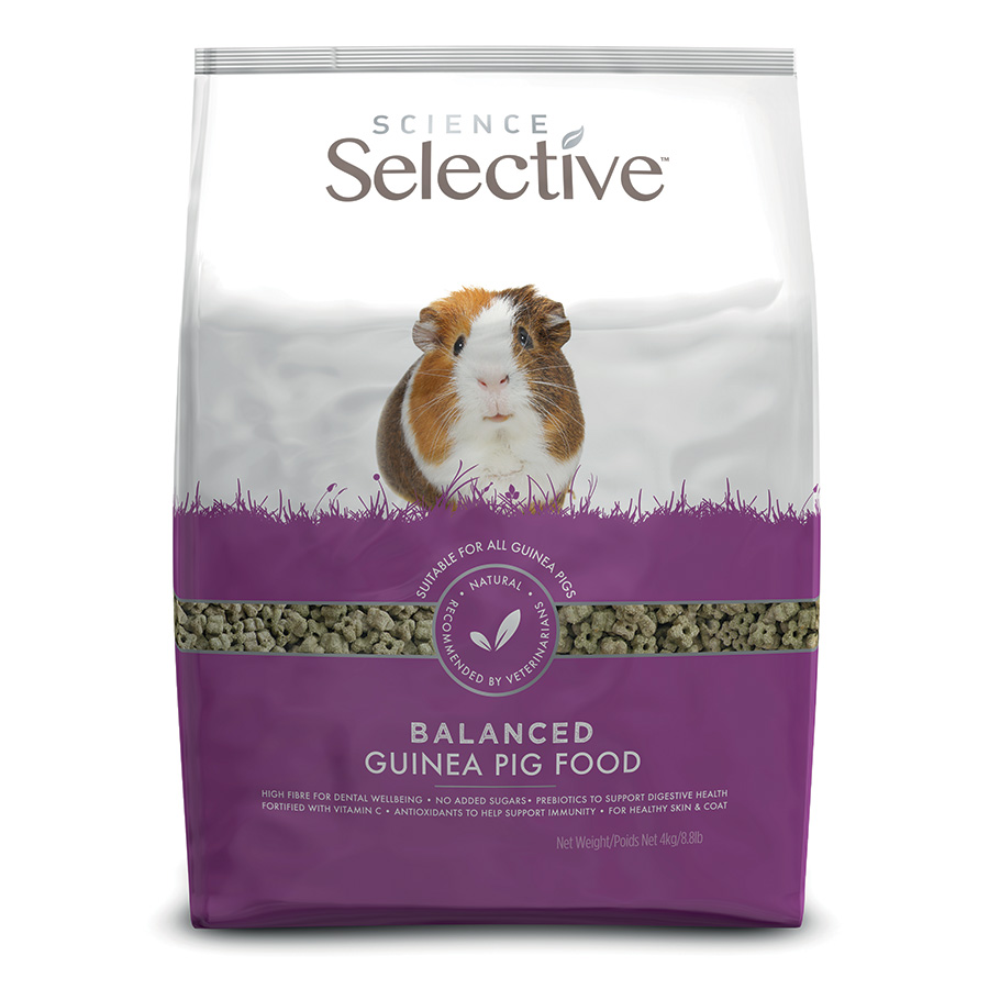 Guinea Pig Supplies, Guinea Pig Food & Accessories | Pets