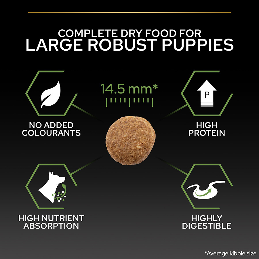 Pro plan puppy large robust best sale