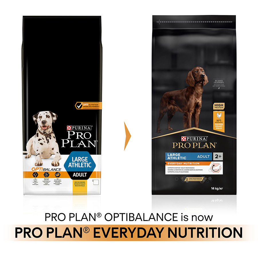 Pro Plan Everyday Nutrition Large Athletic Adult Dry Dog Food Chicken Pets