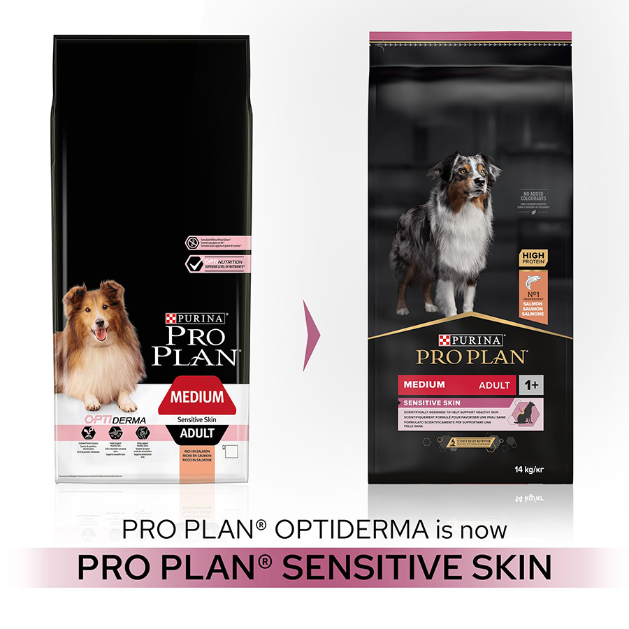 Pro Plan Sensitive Skin Medium Adult Dry Dog Food Salmon Pets