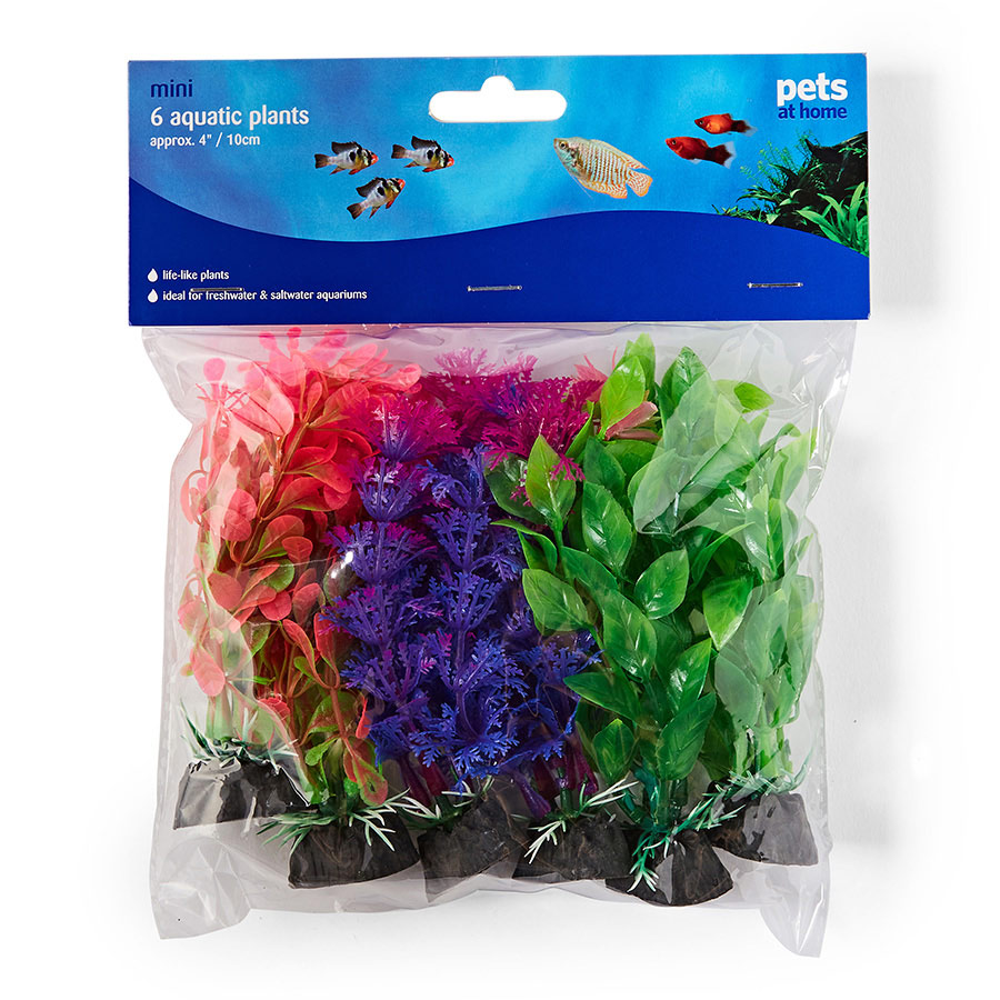 Pets at Home Colourful Plastic Plant Pets