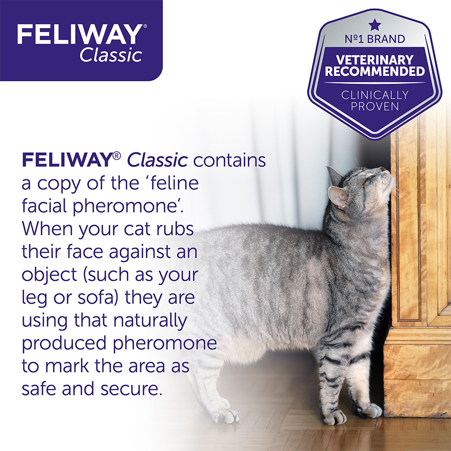 Feliway Classic Kitten Cat Pheromone Diffuser Refill Kit Pets