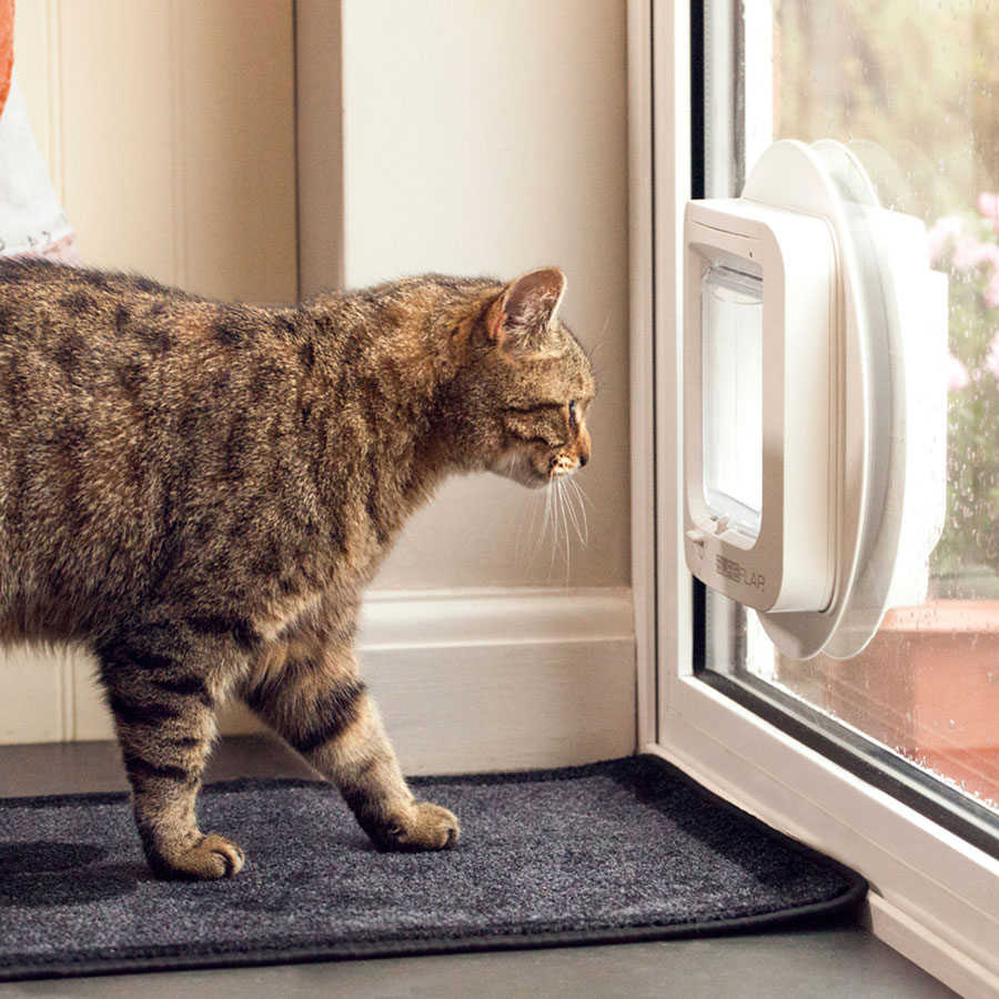 Pets at home cat flap fashion