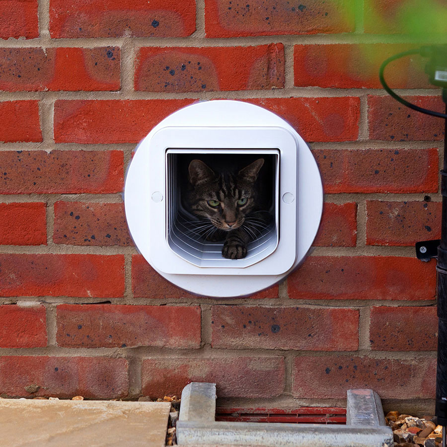 Cat flap extension hotsell