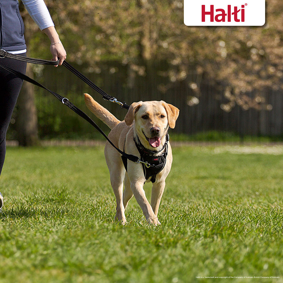 Halti Training Dog Lead Small Black Pets