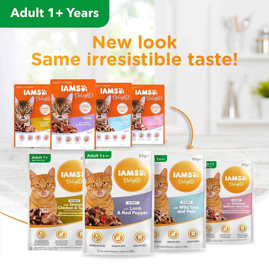 Iams delights best sale