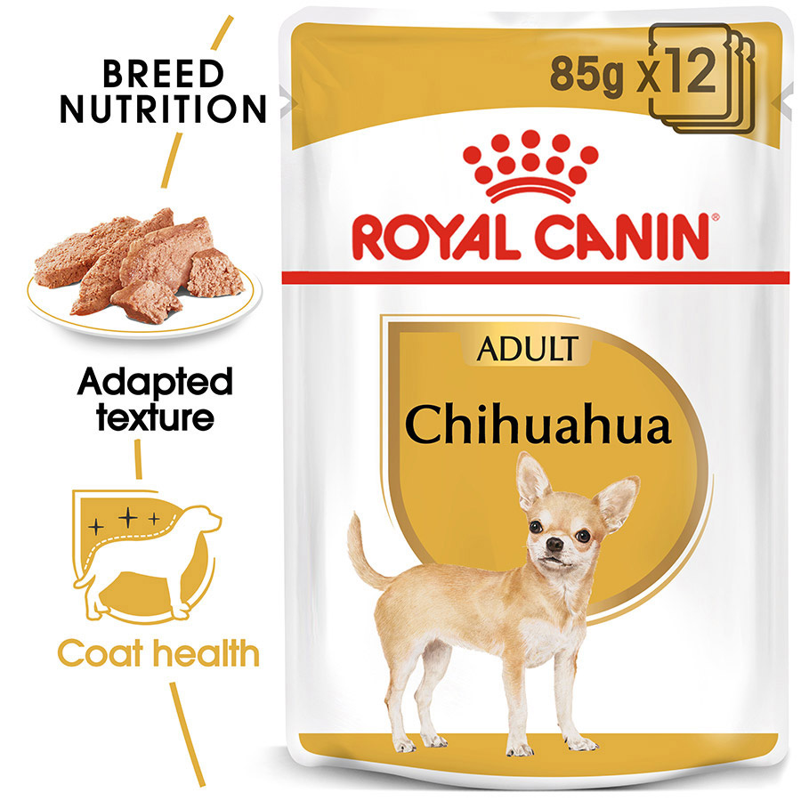 Royal Canin Chihuahua Adult Wet Dog Food Loaf in Sauce Pets