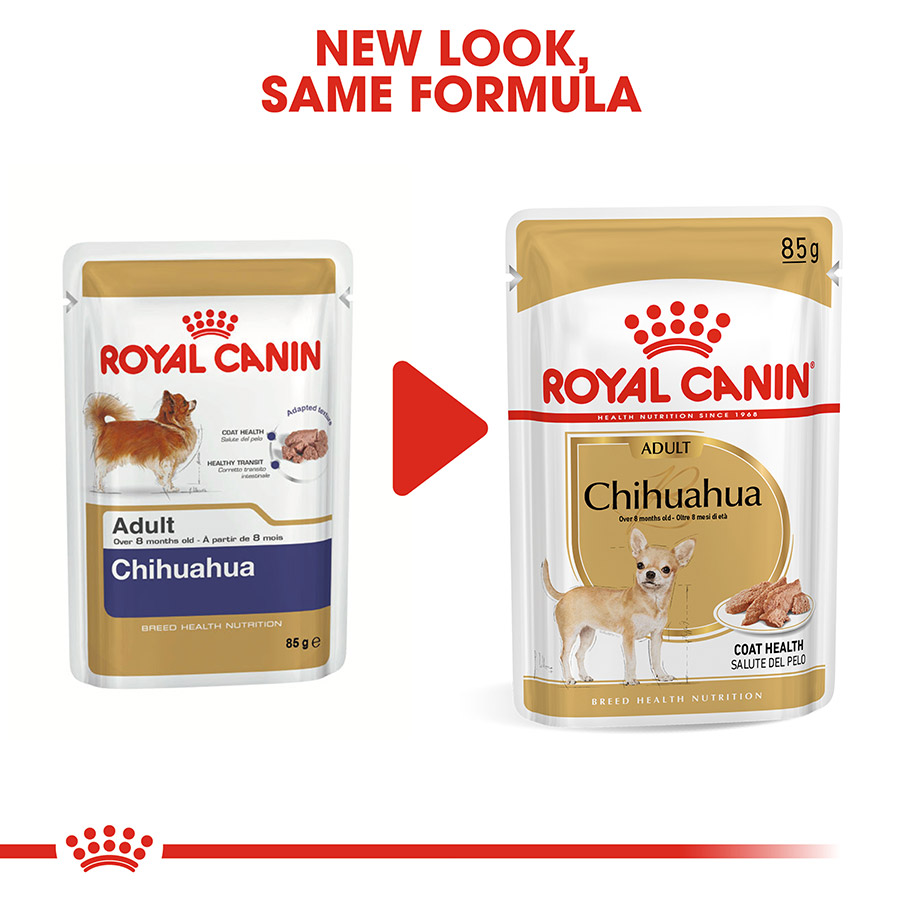 Royal Canin Chihuahua Adult Wet Dog Food Loaf in Sauce Pets