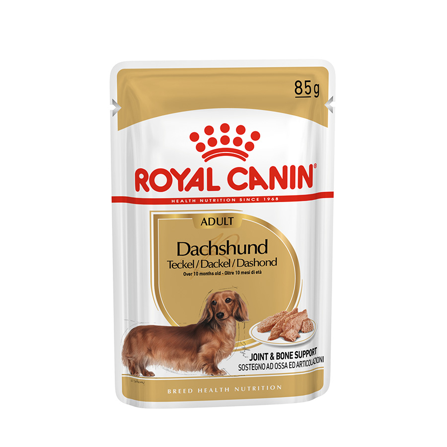 Royal Canin Dachshund Wet Adult Dog Food In Loaf | Pets