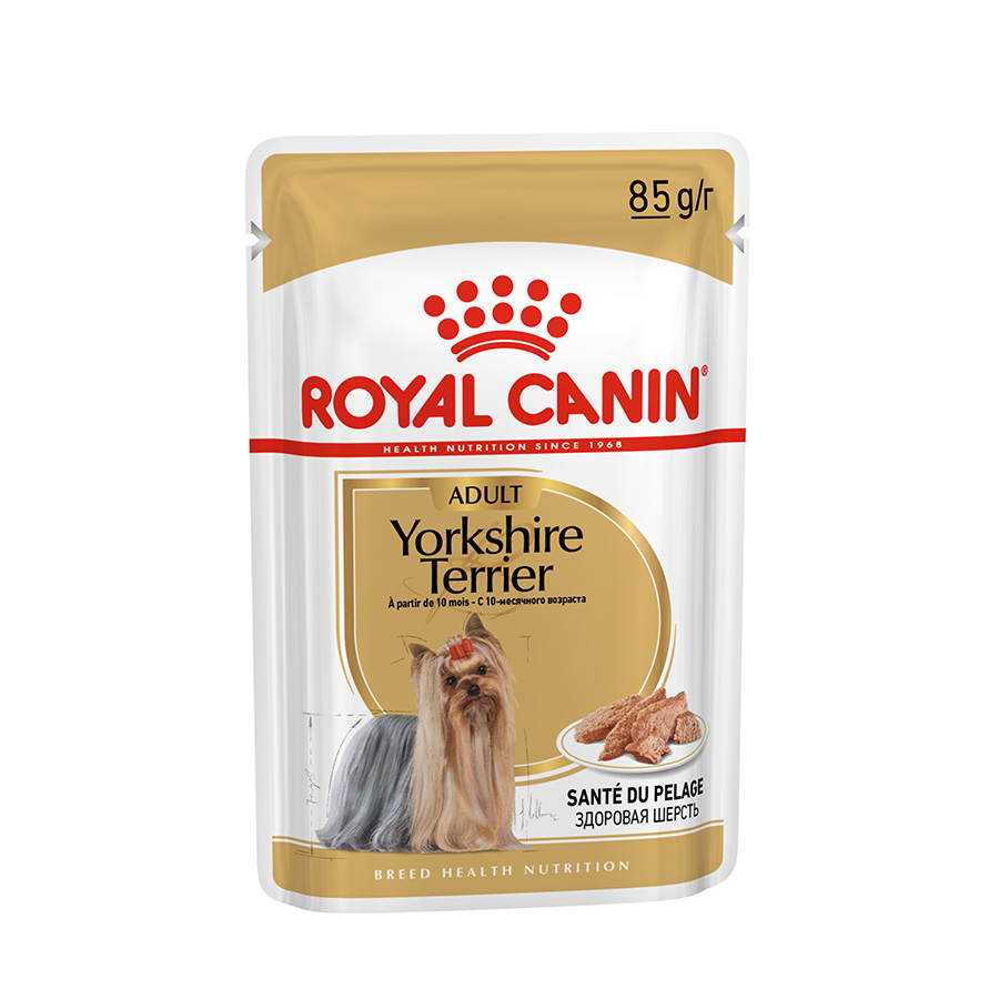 Best wet food for yorkie puppy hotsell