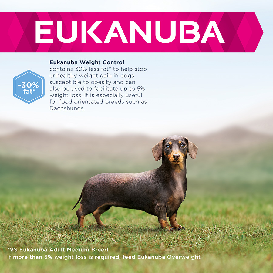 Eukanuba Daily Care Weight Control Small Medium Adult Dry Dog Food Chicken Pets