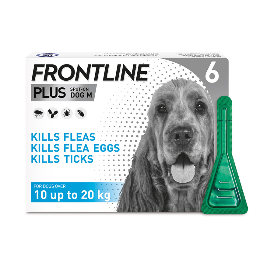 Dog wormer flea and tick best sale