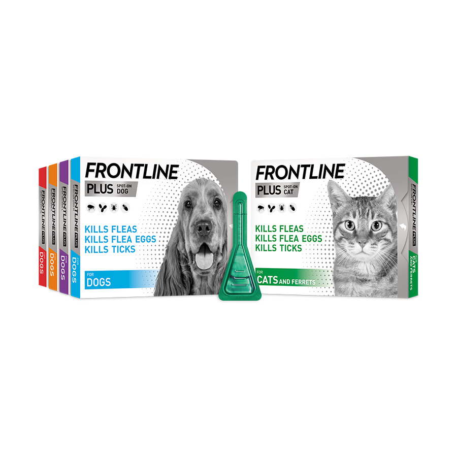 Frontline plus medium dog 6 pack best sale