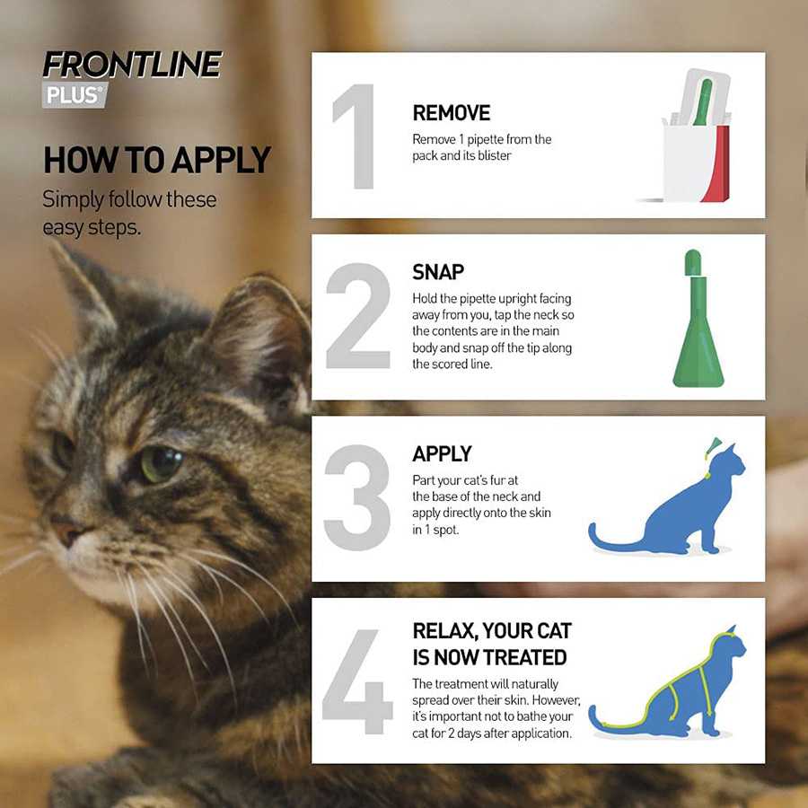 Frontline for cats pets at fashion home