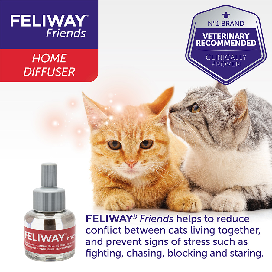 Feliway Friends Calming Pheromone Single Refill for Cats