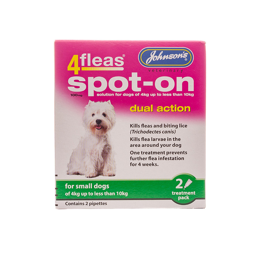 Dog Flea Pets