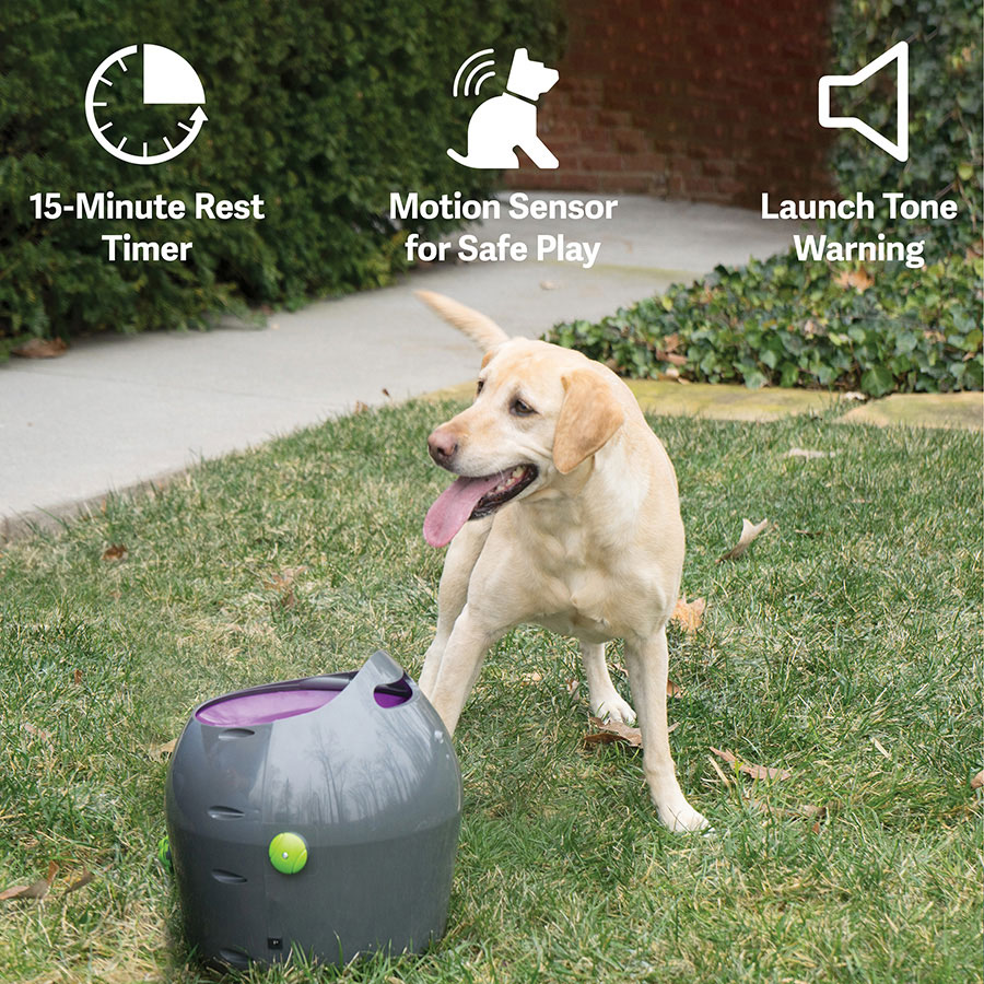 PetSafe Automatic Ball Launcher Dog Toy Pets