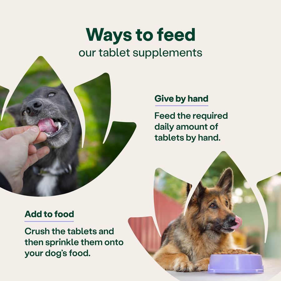 Image slide