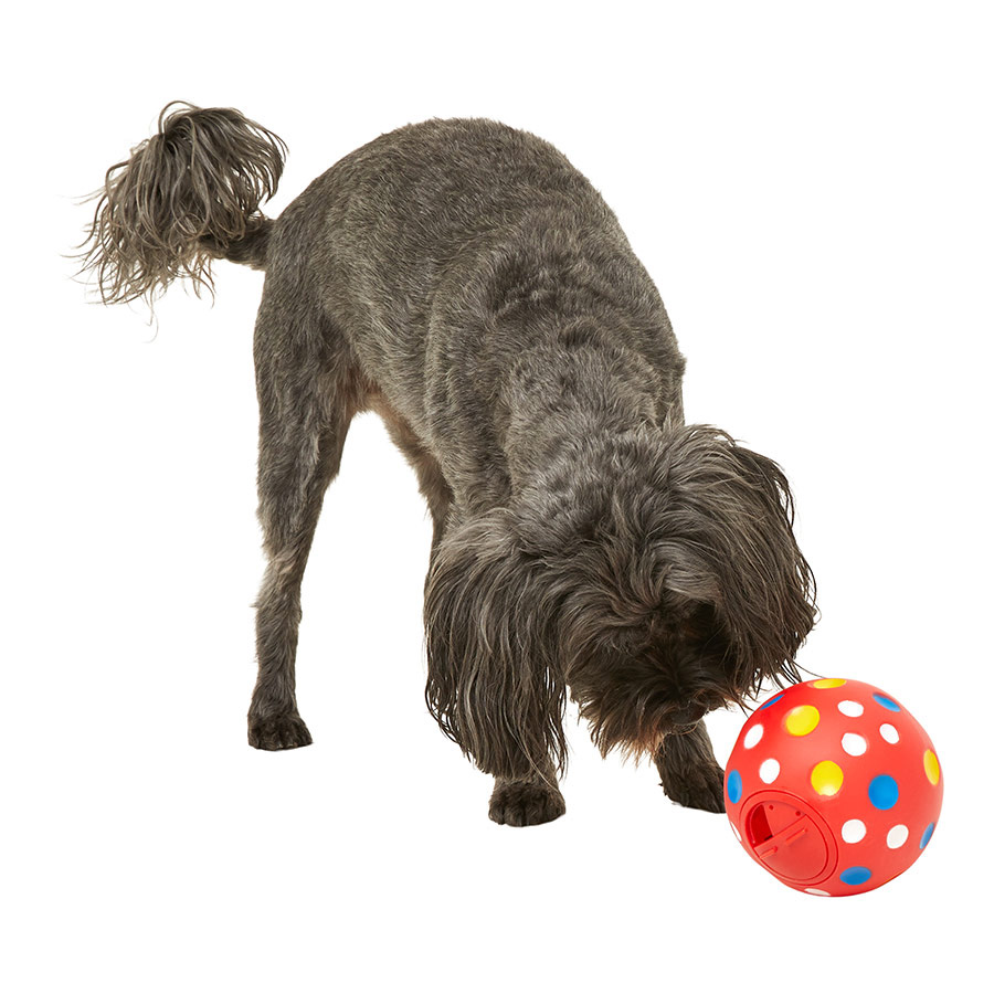 Dog treat ball toy on sale