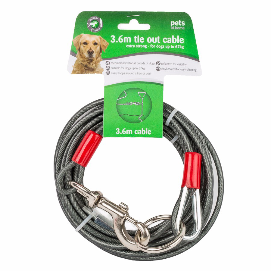 Coiled dog tie out cable best sale