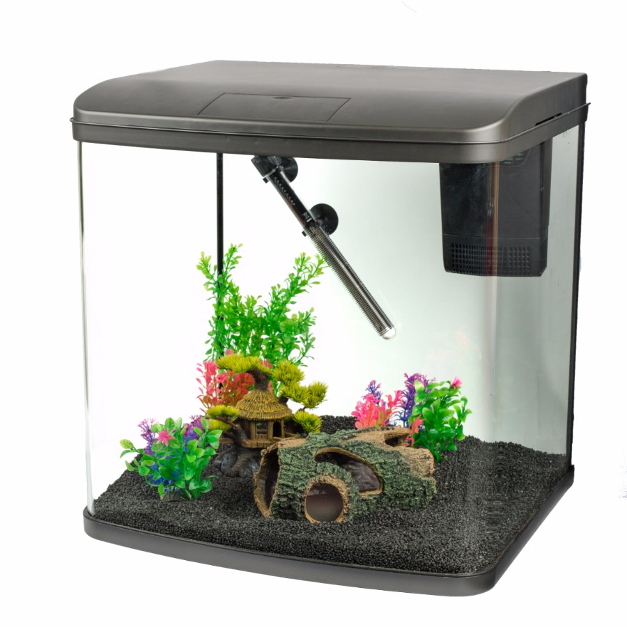 Pets shops at home small fish tanks