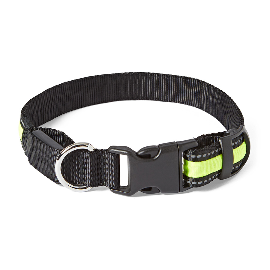 Pets at Home Flashing Dog Collar