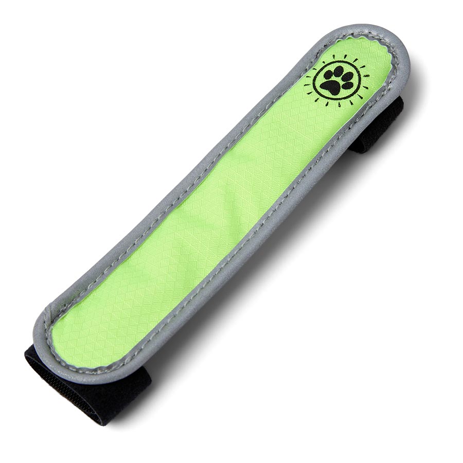 Pets At Home Flashing Dog Collar Slider