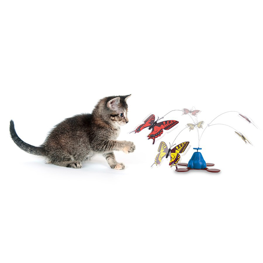 Electric butterfly cat toy best sale