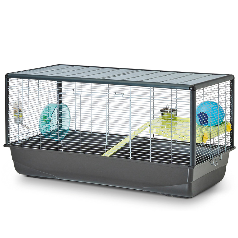 Extra large hamster wheel best sale