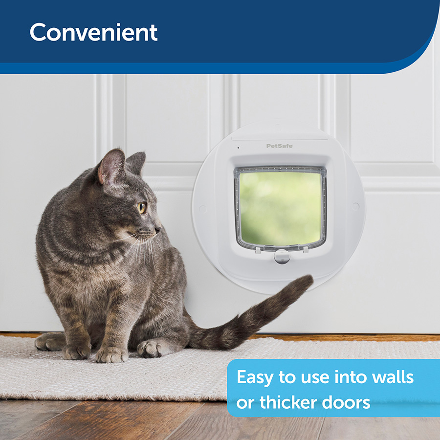 Cat door extension best sale