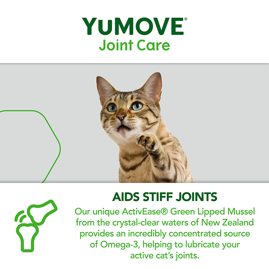 Best joint supplement for cats best sale